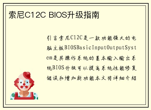 索尼C12C BIOS升级指南